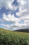2001Hokkaido-06