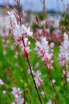 11970026