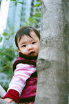 sitting on the tree
