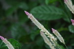 20070923_IMG_5698