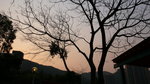 20080302_IMG_0461