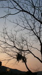 20080302_IMG_0466