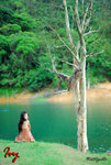 Ivy_153