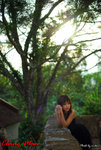 ABI_1105b