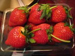 IMG_1279
