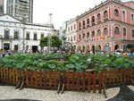 IMG_1661
