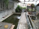 IMG_1853