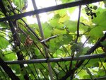 IMG_1858
