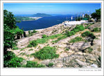 f80-dev-200806-16