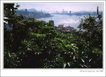 f80-dev-200806-17