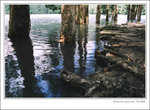 f80-072008-11