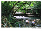 f80-072008-22