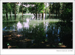 f80-072008-29