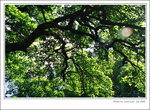 f80-072008-31