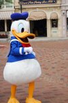 DisneyLand133