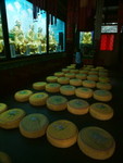 DSCF2197