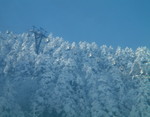 DSCF2253