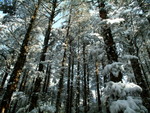 DSCF2267