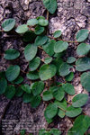 DSCF1637