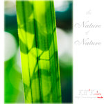 nature0007