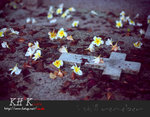 remeber0001