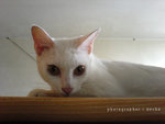 DSC00086