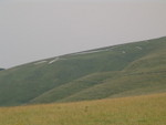 DSC08690