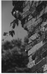 wall002