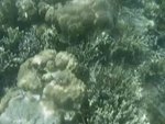 �B����U�u��(33��) 