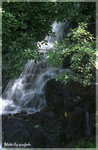 Image25