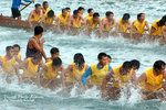DSC_8284 copy