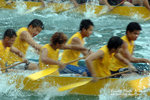 DSC_8308 copy