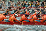 DSC_8321 copy