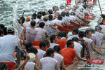 DSC_8355 copy