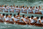 DSC_8386 copy