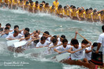 DSC_8464 copy