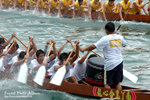 DSC_8465 copy