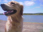 GoneToTheBeach4