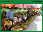 20040703-0439-D60 copy