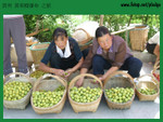 20040703-0441-D60 copy