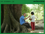 20040703-0469-D60 copy