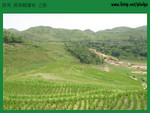 20040703-0495-D60 copy