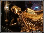 DSCF0407