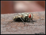 DSCN4891