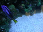 DSCN0084