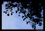 vphoto24