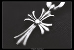 Photo3