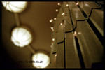 Photo5