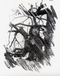 

Lucosa2 �ⱽ��v
