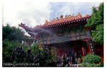 Photo3